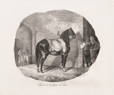 Lithografische Studies van Paarden: Pl. 7, Paard van de Caen-vlakte door Theodore Gericault