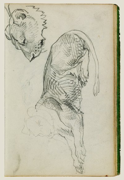 Zittende leeuw, hoofd van leeuwin door Theodore Gericault