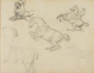 Schetsen: Liggende Naakt, een Ruiter en Diverse Paarden door Theodore Gericault