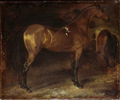 Spaanse Paard door Theodore Gericault