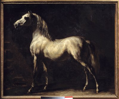 Studie van een paard door Theodore Gericault