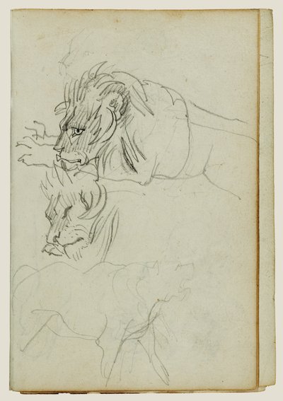 Drie leeuwenstudies door Theodore Gericault