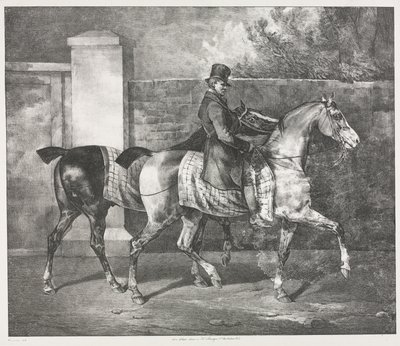 Twee paarden geoefend door een jockey door Theodore Gericault