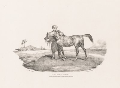 Diverse onderwerpen, naar het leven getekend en op steen:  Een Arabisch paard door Theodore Gericault