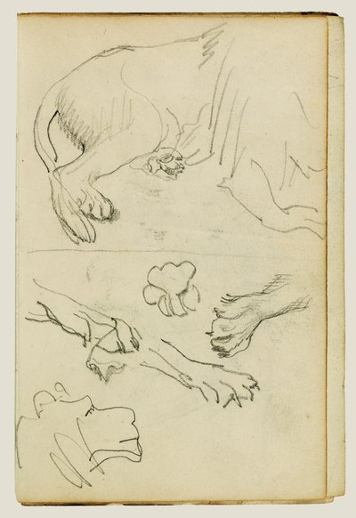 Diverse studies van leeuwenpoten, -poten en -kop door Theodore Gericault