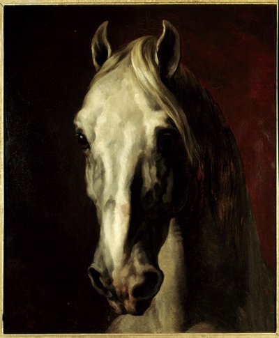 Hoofd van een wit paard door Theodore Gericault