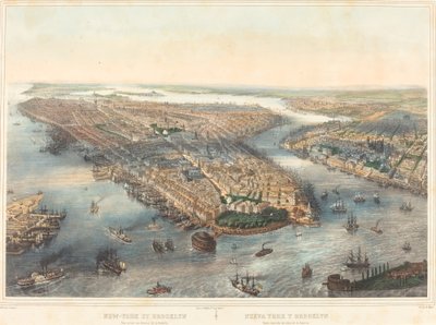 New York en Brooklyn - Uitzicht vanaf de batterij door Theodore Muller after William Simpson