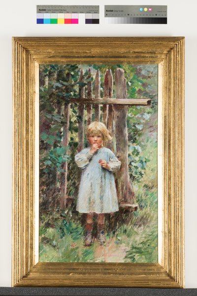 Een rover door Theodore Robinson