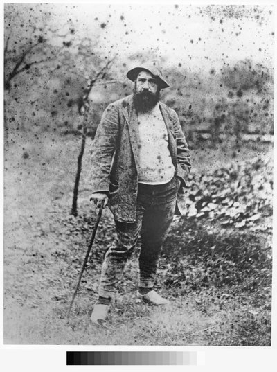 Claude Monet in zijn tuin, 1880 (zilveren afdruk) door Theodore Robinson