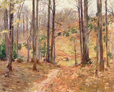 Virginia Woods, 1893 door Theodore Robinson
