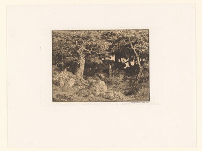 Eikenbomen op rotsen door Theodore Rousseau