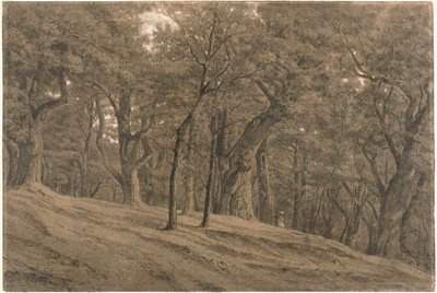 In het bos van Fontainbleau door Theodore Rousseau