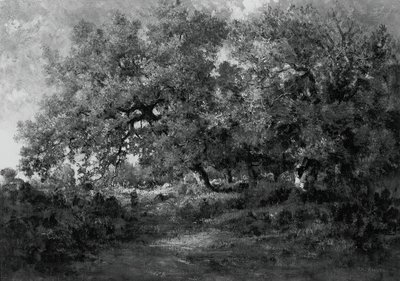 Landschap door Theodore Rousseau