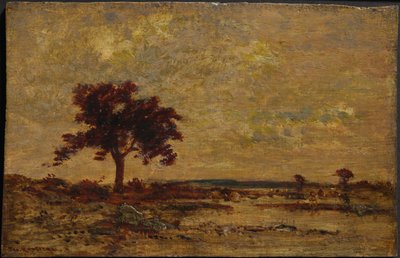 Moeraslanden door Theodore Rousseau