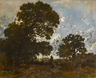 De Beuk in het Bos van L