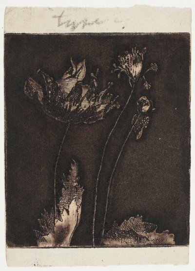 Laatste Klaprozen door Theodore Roussel