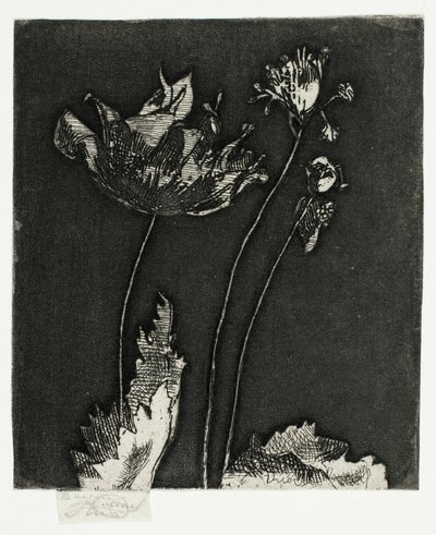 Laatste Klaprozen door Theodore Roussel