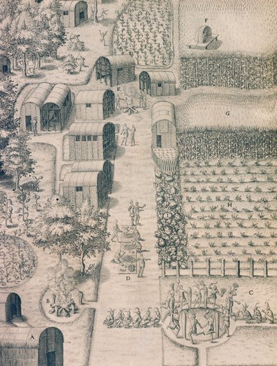 Een inheems Indiaans dorp omringd door gecultiveerd land in Virginia door Theodore de Bry