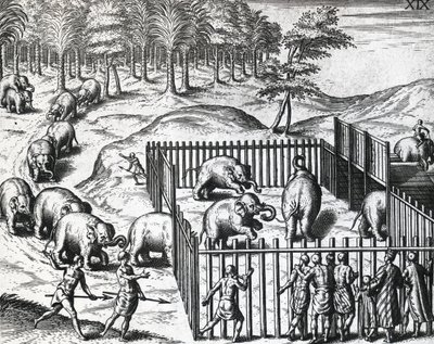 Olifantenjacht in koninkrijk Pegu, nu Myanmar, gravure door Theodore de Bry