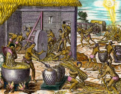 Geschiedenis van Amerika: het verzamelen van suikerriet en het maken van suiker door Theodore de Bry