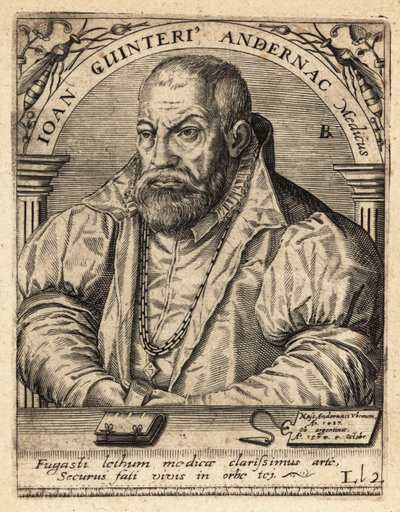 Johann Winter von Andernach, Duitse arts door Theodore de Bry