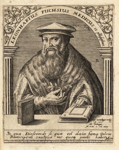 Leonhart Fuchs, Duitse arts en botanicus 1501-1566 door Theodore de Bry