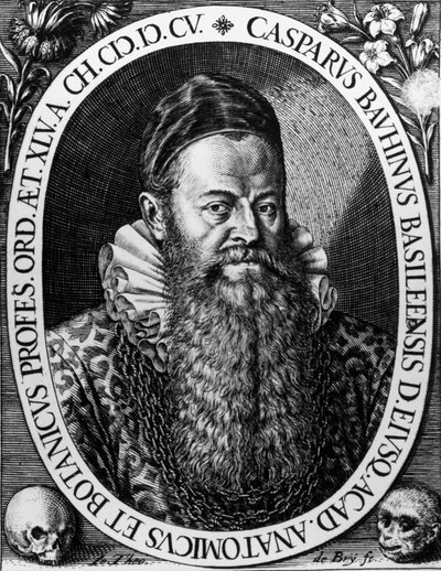 Portret van Gaspard Bauhin, Zwitserse botanicus door Theodore de Bry