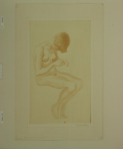  door Théophile Alexandre Steinlen