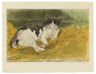 Oude zwart-witte kat in het gras door Théophile Alexandre Steinlen