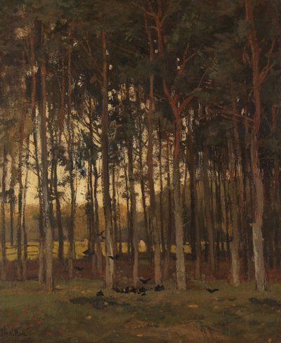 Uitzicht in het bos door Theophile de Bock