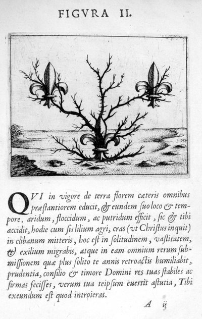 Profetie figuur II uit Prognosticatio Eximii Doctoris Paracelsi door Theophrastus Bombastus von Hohenheim Paracelsus