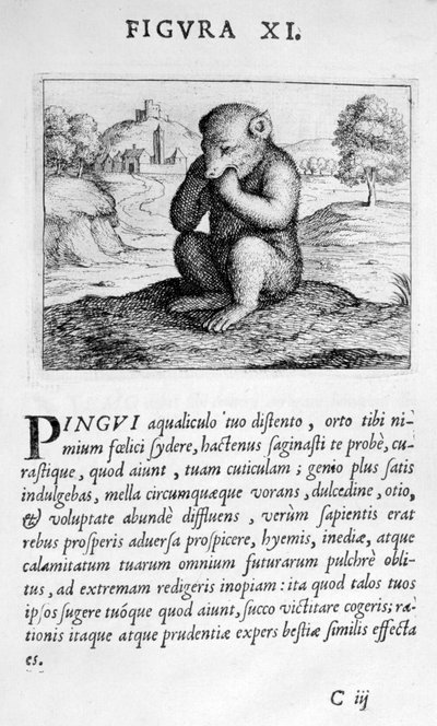 Profetie figuur XI uit Prognosticatio Eximii Doctoris Paracelsi, 1536 door Theophrastus Bombastus von Hohenheim Paracelsus