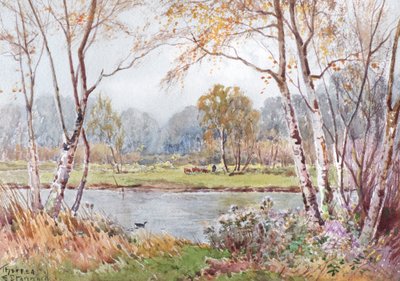 Zonnige dag aan de Ouse door Theresa Sylvester Stannard