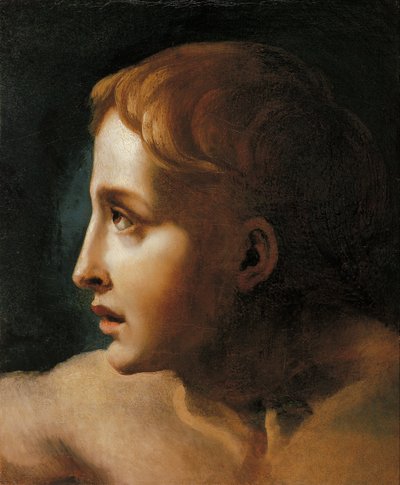 Hoofd van een jongeling door Theodore Gericault
