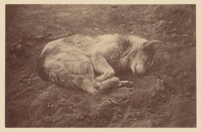 [Slapende hond] door Théodule Devéria
