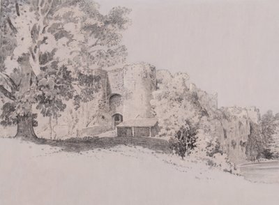 Chepstow Castle door Thomas (attr. to) Tudor