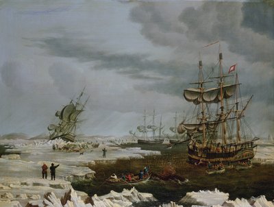 Hull Walvisvaarders in het Noordpoolgebied door Thomas A. Binks