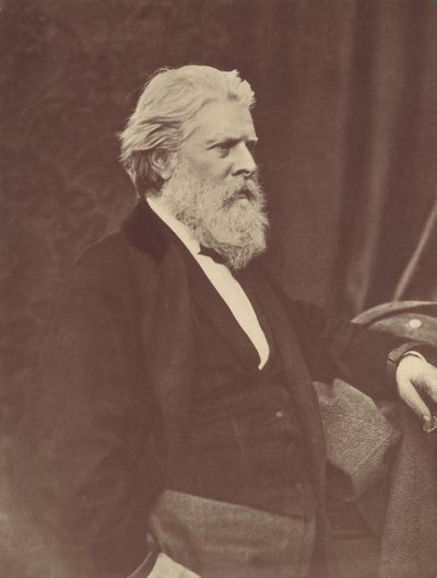 Portret van D.O. Hill, 1867, gedrukt ca. 1900s door Thomas Annan