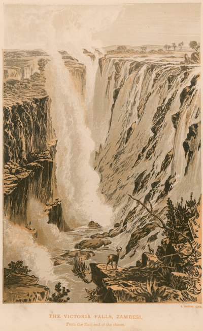 De Victoria Falls door Thomas Baines