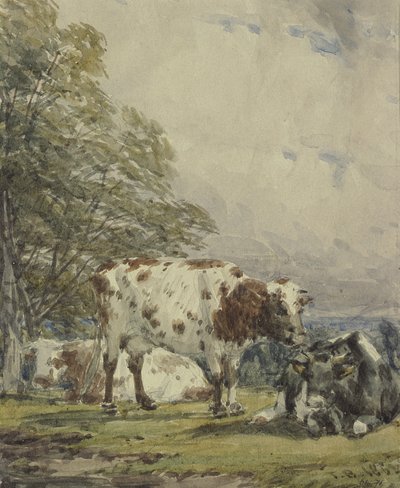 Een studie van vee door Thomas Baker