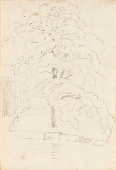 Studie van een boom boven water (verso) door Thomas Baxter