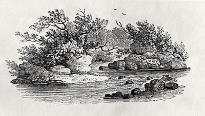 Een bocht in de rivier, uit 