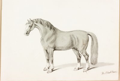 Het Zwarte Paard door Thomas Bewick