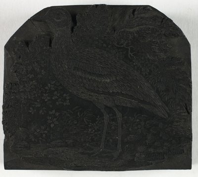 Houtsnede voor De Grote Plevier, uit Een Geschiedenis van Britse Vogels door Thomas Bewick