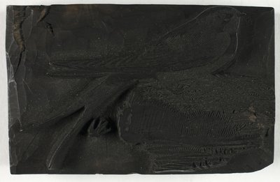 Houtsnede voor De Zwaluw, uit Een Geschiedenis van Britse Vogels door Thomas Bewick