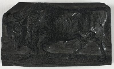 Houtsnede voor De Oeros of Wilde Stier, uit Een Algemene Geschiedenis van Viervoeters door Thomas Bewick