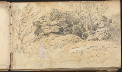 Album van Landschap- en Figurenstudies: Schets van Bomen en Rotsen door Thomas Bradshaw