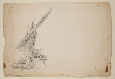 Gebroken stam van een boom door Thomas Cole