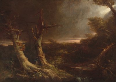 Tornado in een Amerikaans bos door Thomas Cole
