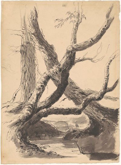 Boomstammen door Thomas Cole